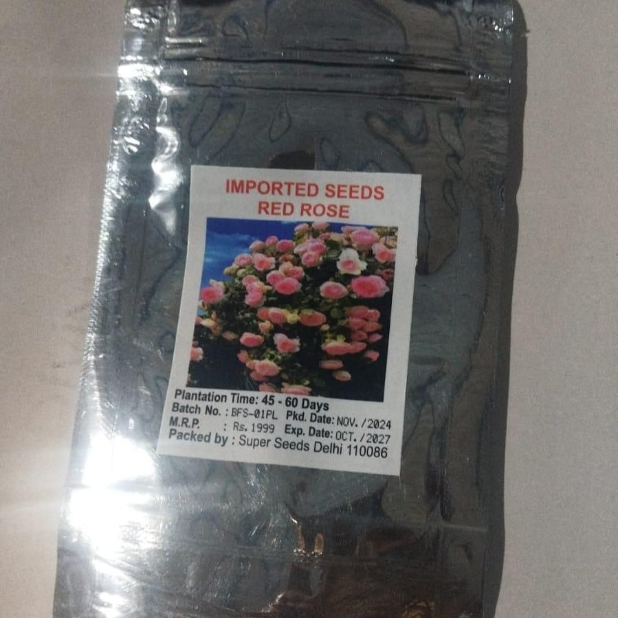 Elegant Climbing Rose Flower Seeds
